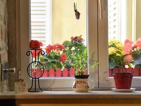 Bed & Breakfast Petra *