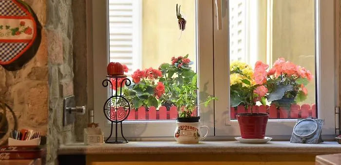 Bed & Breakfast Petra *